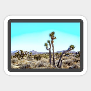 Joshua Tree National Park, California Sticker